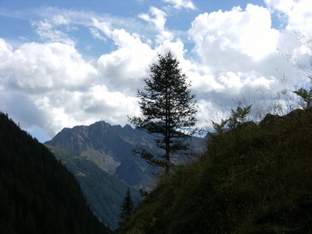 Gruppo Adamello-Presanella