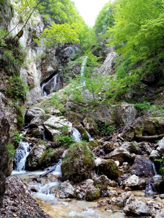 Cascata delle Ninfe - Camosciara (AQ)