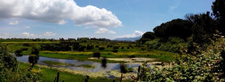 Pantani nel Parco Nazionale del Circeo (LT)